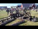 video b85ad4f9 65b6 4c3efd